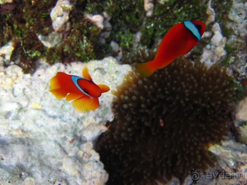 По филиппинским городам и весям. Часть 2