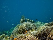 По филиппинским городам и весям. Часть 2