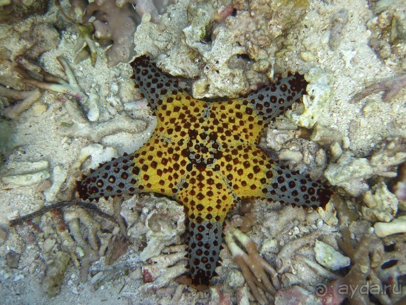 По филиппинским городам и весям. Часть 2