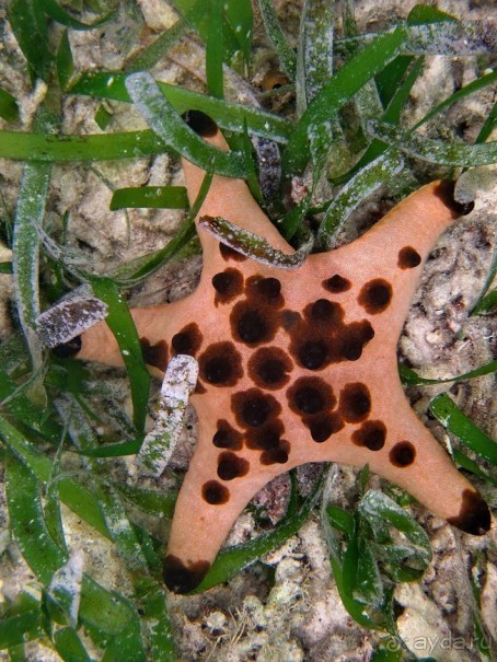 По филиппинским городам и весям. Часть 2