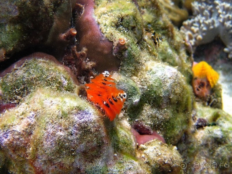 По филиппинским городам и весям. Часть 2