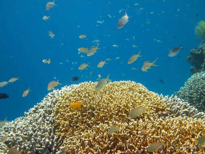 По филиппинским городам и весям. Часть 2