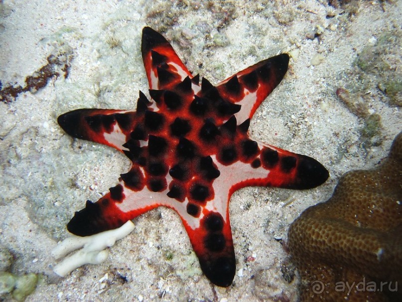 По филиппинским городам и весям. Часть 2