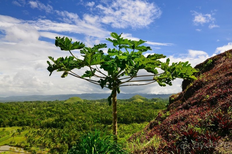 По филиппинским городам и весям. Часть 2