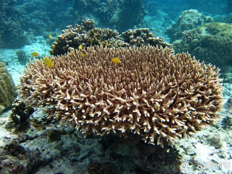 По филиппинским городам и весям. Часть 2