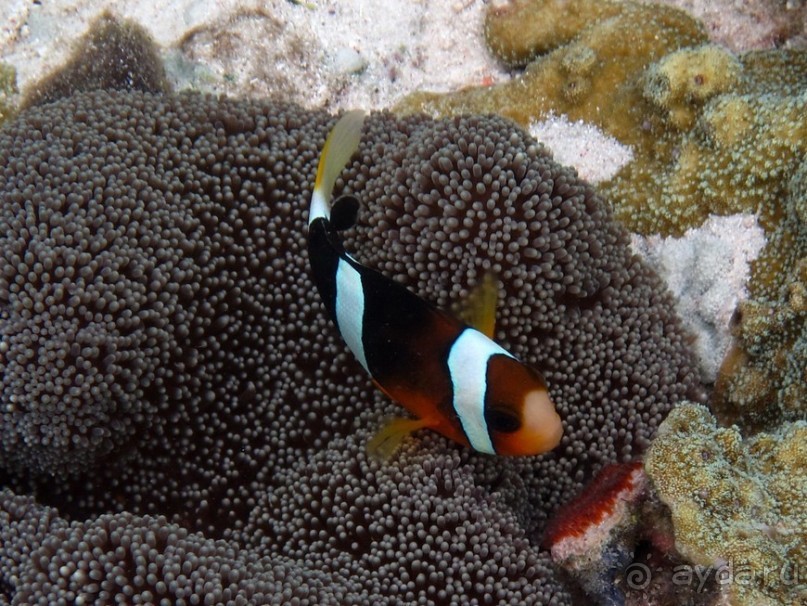 По филиппинским городам и весям. Часть 2