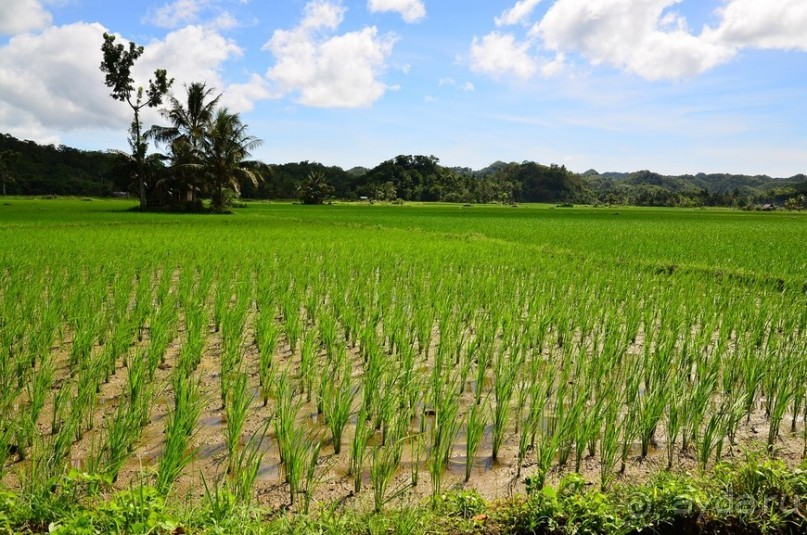 По филиппинским городам и весям. Часть 2
