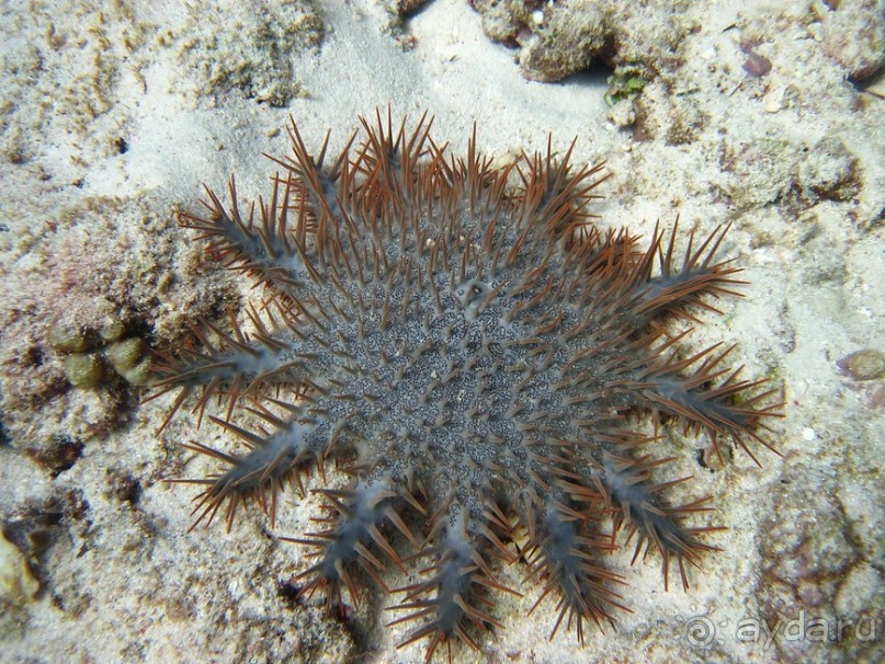 По филиппинским городам и весям. Часть 2