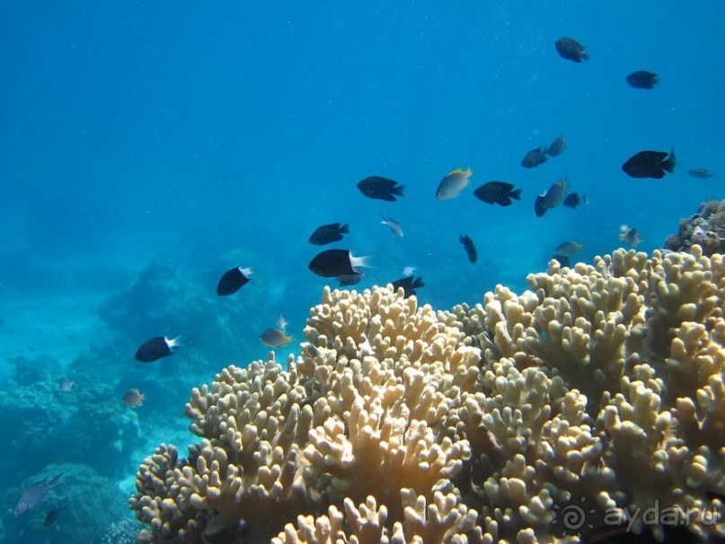 По филиппинским городам и весям. Часть 2