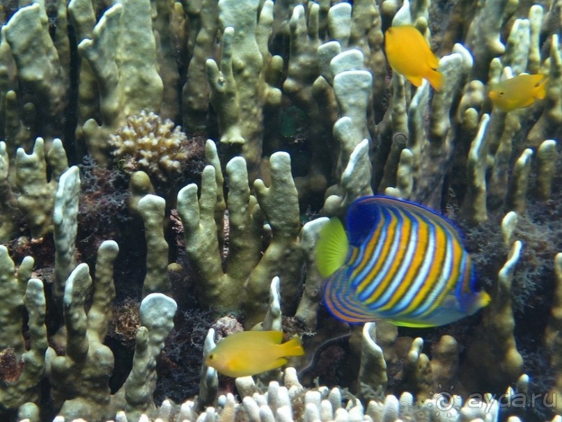 По филиппинским городам и весям. Часть 2