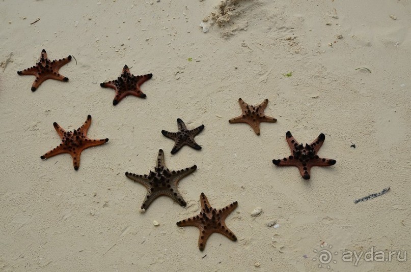 По филиппинским городам и весям. Часть 2