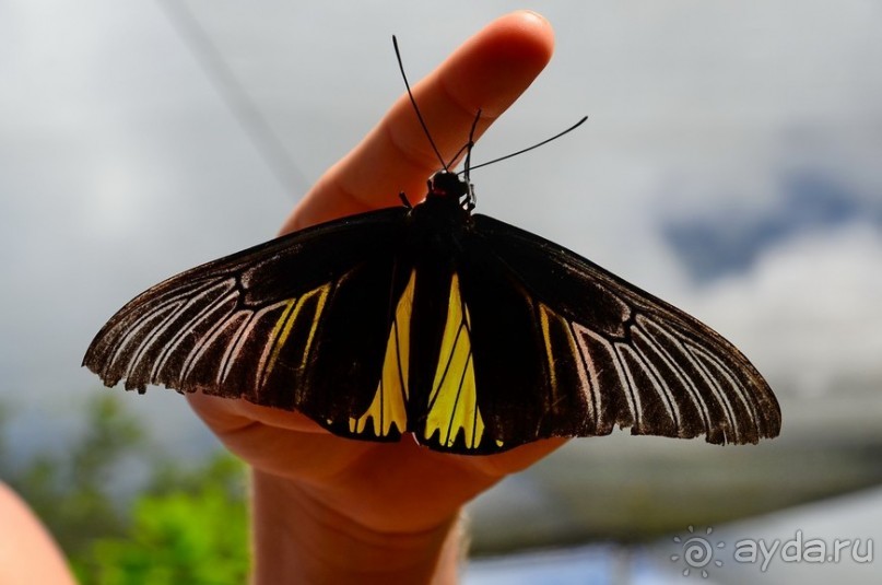 По филиппинским городам и весям. Часть 2