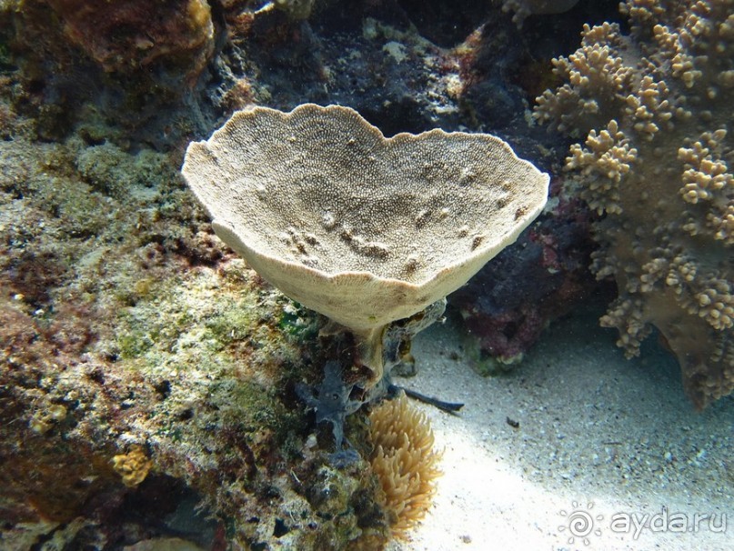 По филиппинским городам и весям. Часть 2