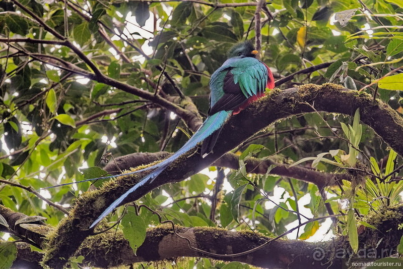 Pura vida по-костарикански. Часть 2