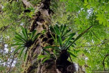 Pura vida по-костарикански. Часть 2