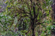 Pura vida по-костарикански. Часть 2