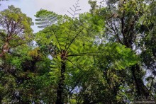 Pura vida по-костарикански. Часть 2