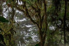 Pura vida по-костарикански. Часть 2