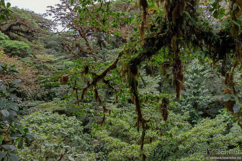 Pura vida по-костарикански. Часть 2