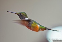 Pura vida по-костарикански. Часть 2