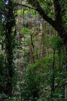 Pura vida по-костарикански. Часть 2