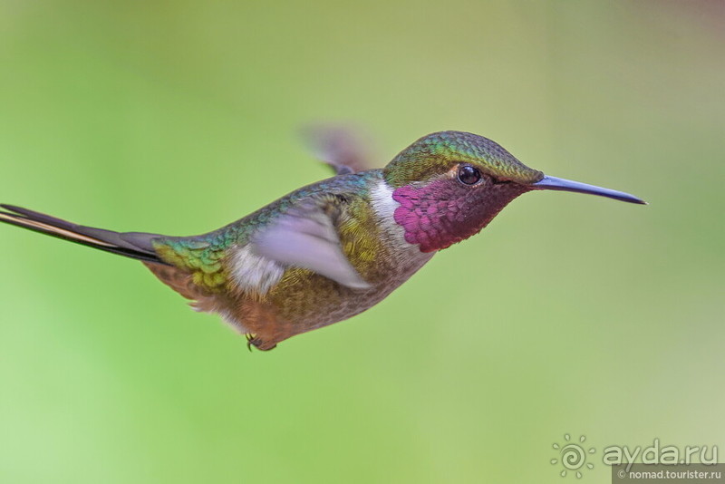 Pura vida по-костарикански. Часть 2