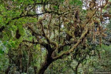 Pura vida по-костарикански. Часть 2