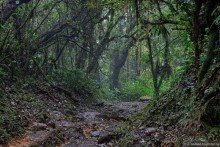 Pura vida по-костарикански. Часть 2