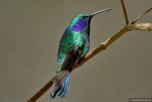 Pura vida по-костарикански. Часть 2