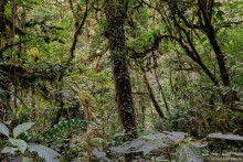 Pura vida по-костарикански. Часть 2