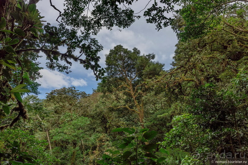 Pura vida по-костарикански. Часть 2