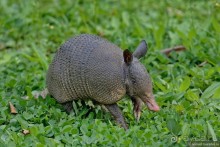 Pura vida по-костарикански. Часть 2