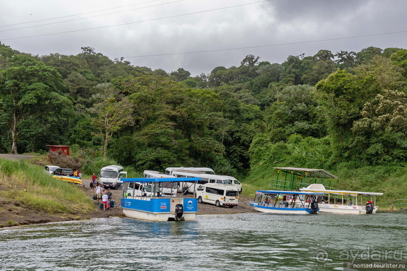 Pura vida по-костарикански. Часть 2 Pura vida по-костарикански. Часть 2