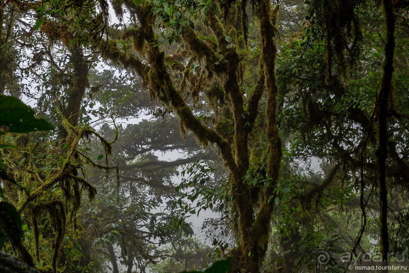 Pura vida по-костарикански. Часть 2 Pura vida по-костарикански. Часть 2