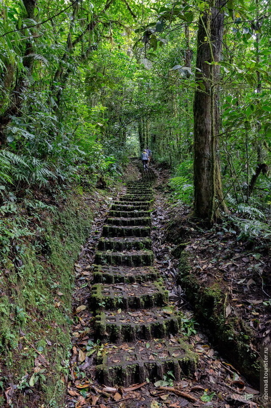 Pura vida по-костарикански. Часть 2 Pura vida по-костарикански. Часть 2