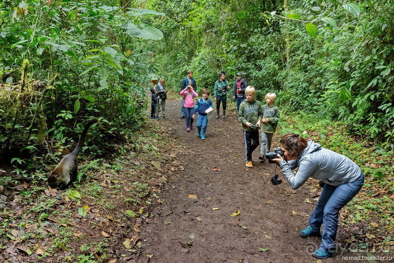 Pura vida по-костарикански. Часть 2 Pura vida по-костарикански. Часть 2