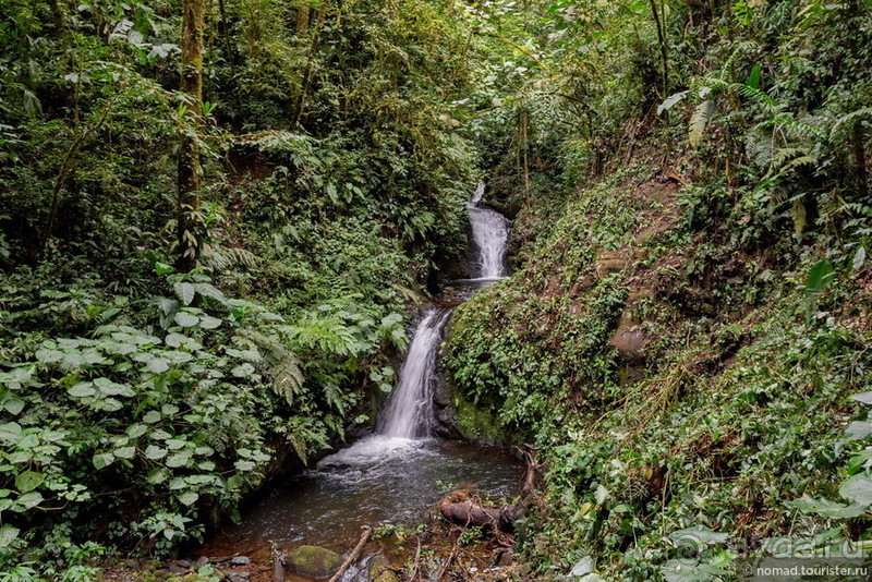 Pura vida по-костарикански. Часть 2 Pura vida по-костарикански. Часть 2