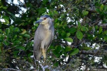 Bolivia te espera! Часть 7