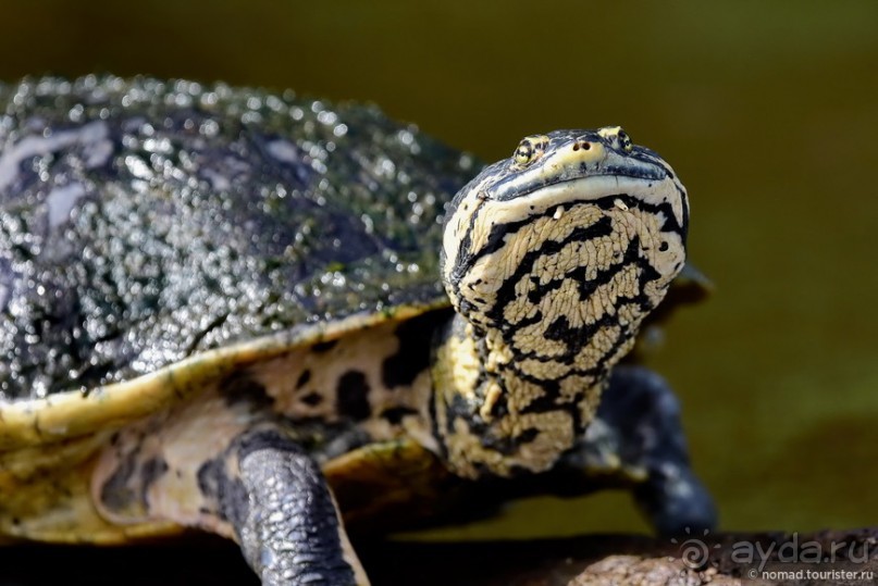 Bolivia te espera! Часть 7