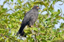 Bolivia te espera! Часть 7