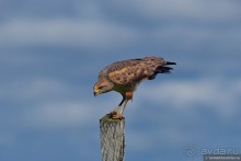 Bolivia te espera! Часть 7