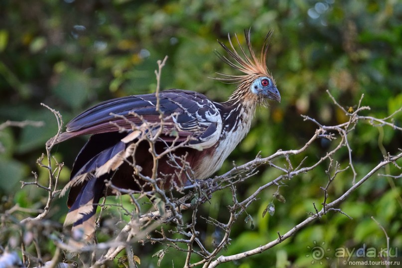 Bolivia te espera! Часть 7