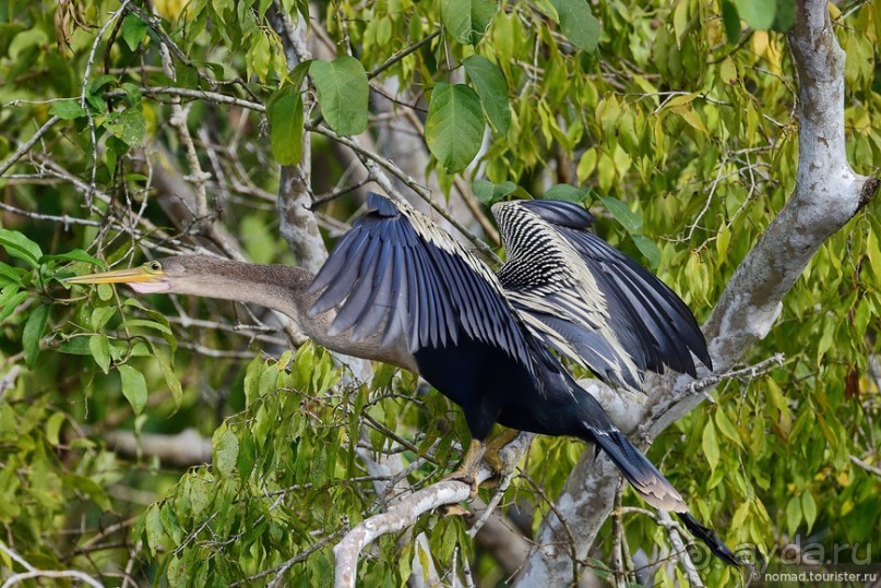 Bolivia te espera! Часть 7