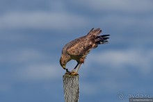 Bolivia te espera! Часть 7