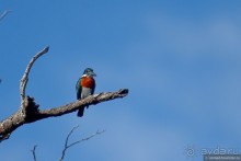 Bolivia te espera! Часть 7