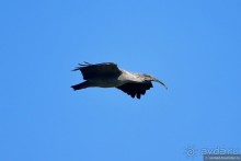 Bolivia te espera! Часть 7