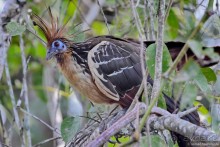 Bolivia te espera! Часть 7