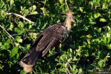 Bolivia te espera! Часть 7