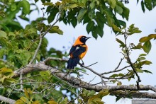 Bolivia te espera! Часть 7