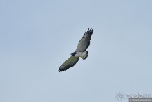 Bolivia te espera! Часть 7